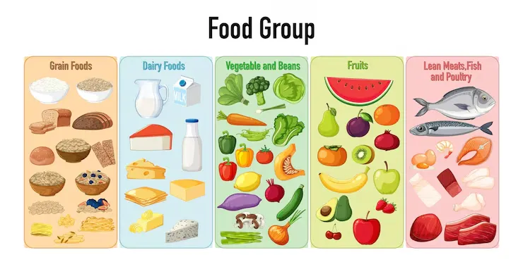 Grid layout of nutrition education modules with color-coded topics